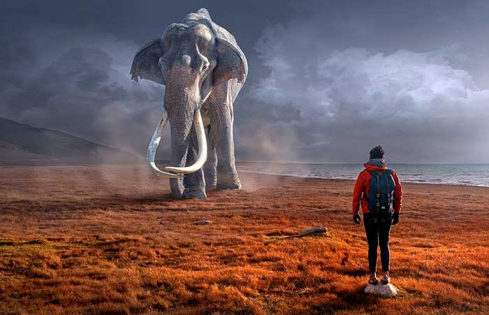 உங்களை யாரோடும் ஒப்பிட்டுக் கொள்ளாதீர்கள். உங்கள் படைப்பின் நோக்கம் வேறாக இருக்கலாம்!