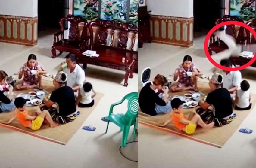 அறுந்த மின்விசிறி ! அலறிய குடும்பம் !