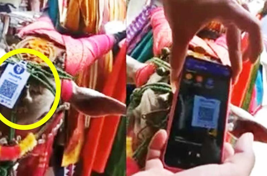  மாட்டுக் கொம்பில் QR code – வைரலாகும் வீடியோ !!!