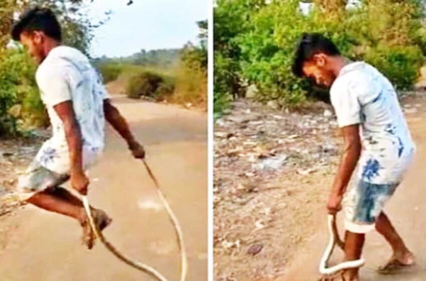 பாம்பை வைத்து Skipping விளையாடும் இளைஞர் !!!