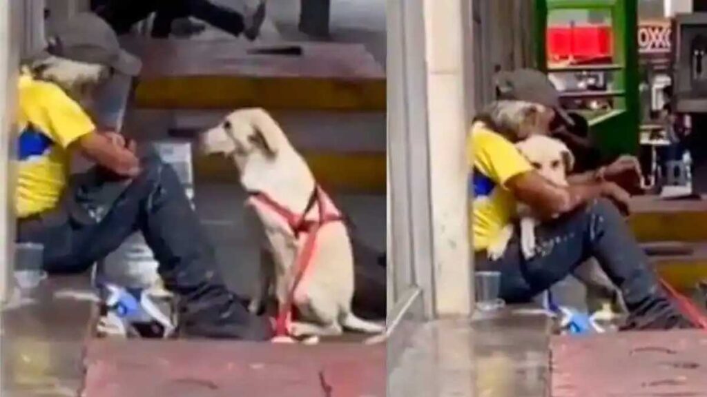 dog-love