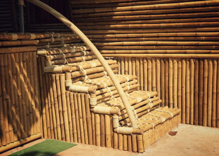 Bamboo