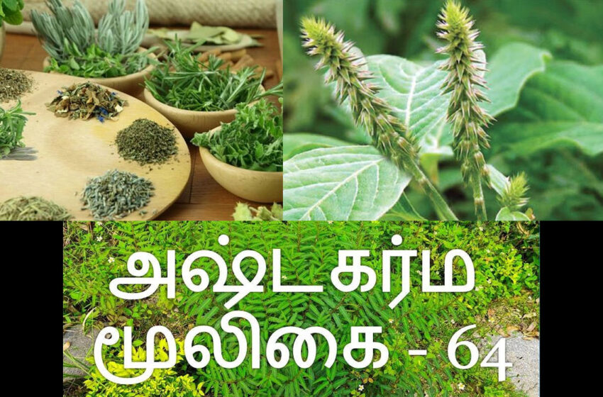 ashta-karma-herbs