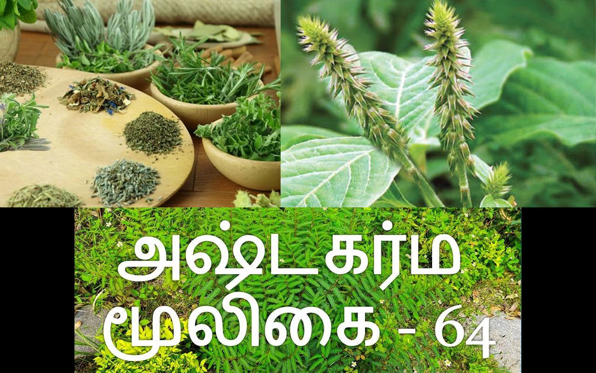 ashta-karma-herbs