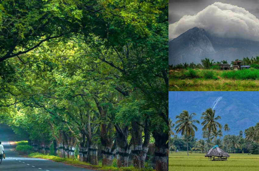 தென்னை நகரம்.. பொள்ளாச்சி பற்றி அறிந்திடாத வரலாறு..