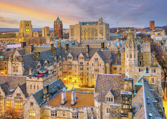 Yale university