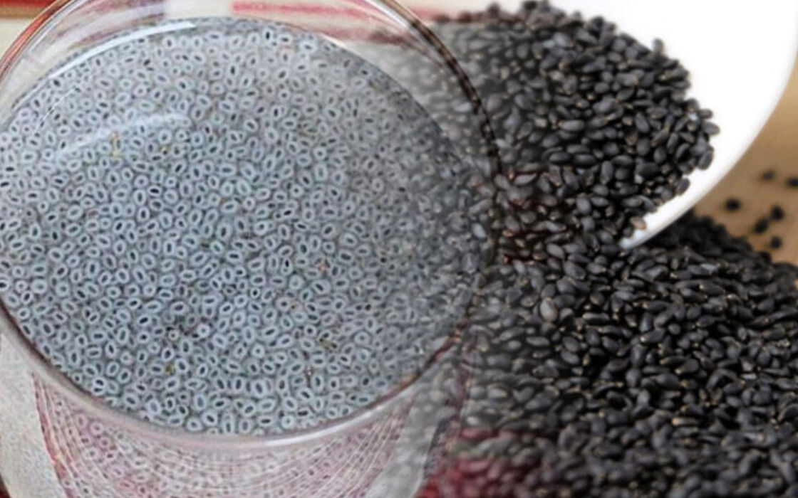 subja seed