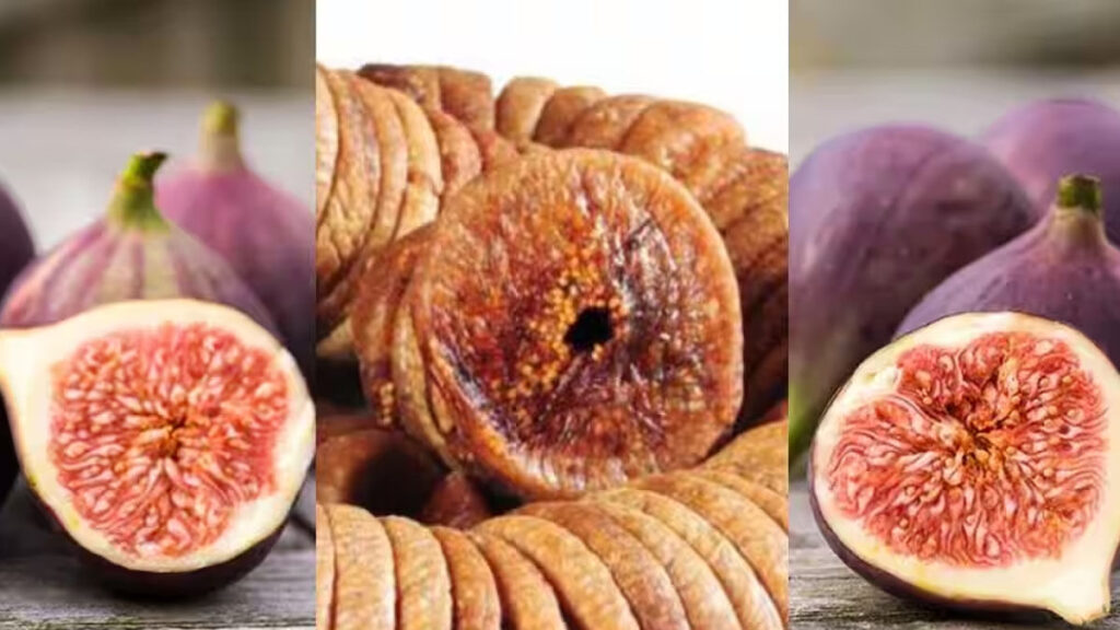 Fig