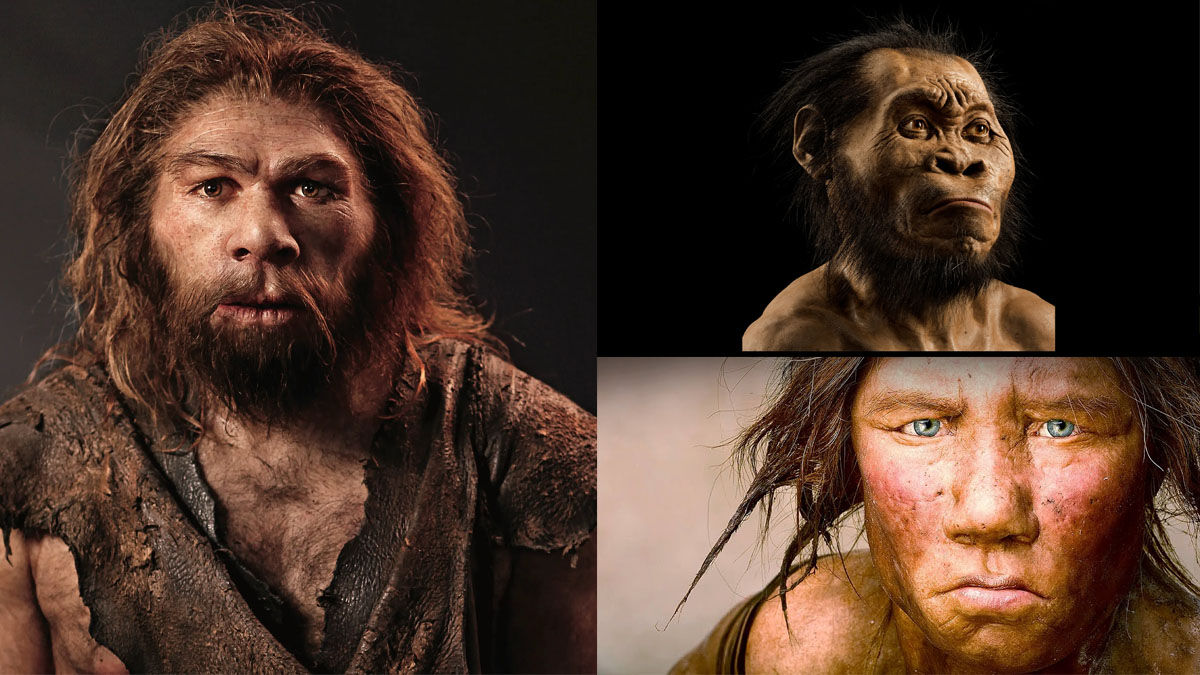 human history