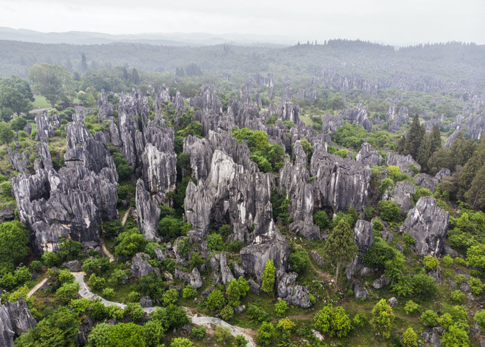 stone forest