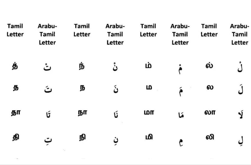  “அழிந்து போனது” என்று நினைத்த மொழி மீண்டும் வந்தது எப்படி? அர்வி மொழி ரகசியங்கள்