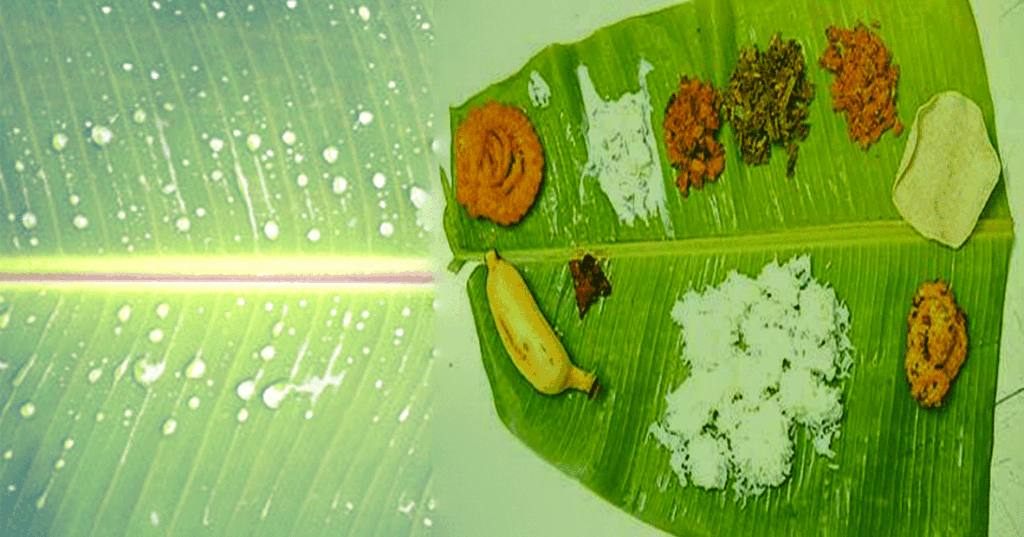 vaalai-ilai--thum