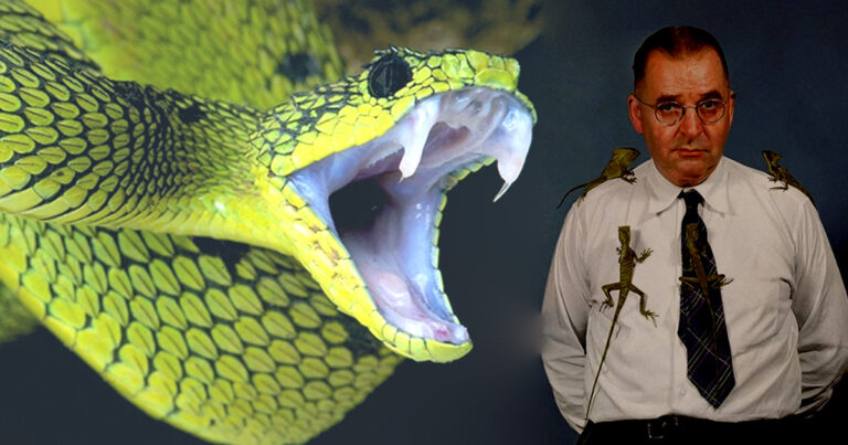 Snake